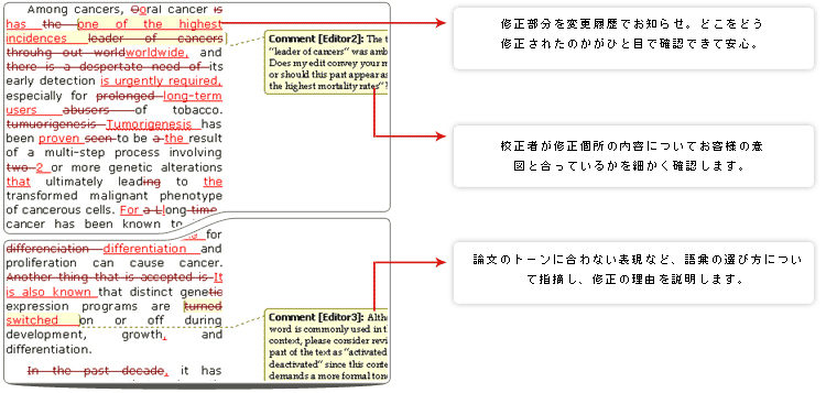 スタンダード英文校正のサンプル
